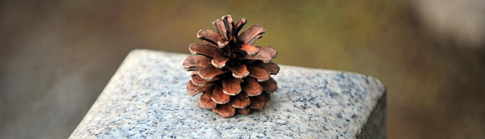 vangock.de